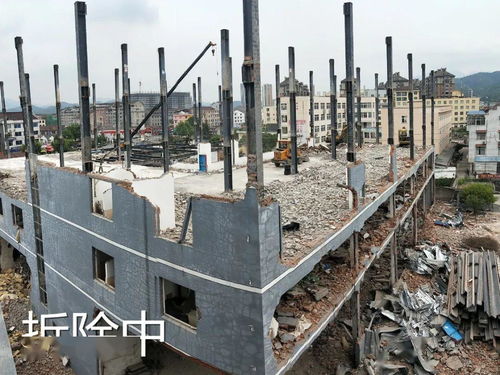 違法私建廠房偽造印章，某家具廠“任性”施工引關注