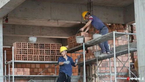 南充 蘆溪 中央廚房 主體施工完成80 預計8月完成標準化廠房建設