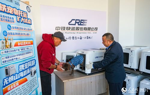 乘高鐵攜寵享樂游 禮儀服務指南